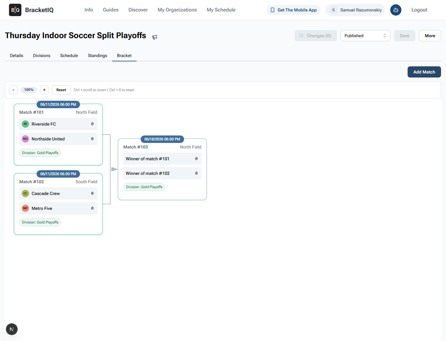 BracketIQ Bracket tab showing Gold Playoffs semifinal matches and a final placeholder